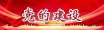 栏目用于追新