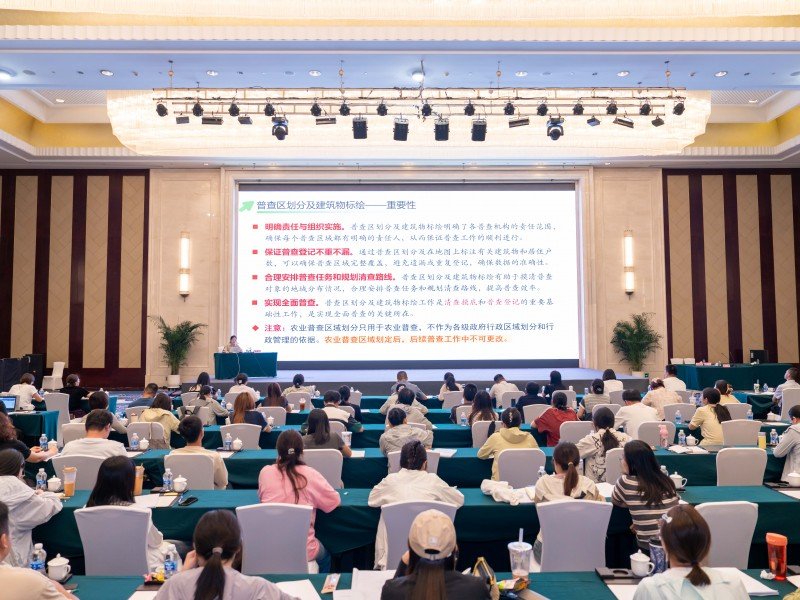 年轻人强实操”的互补型队伍